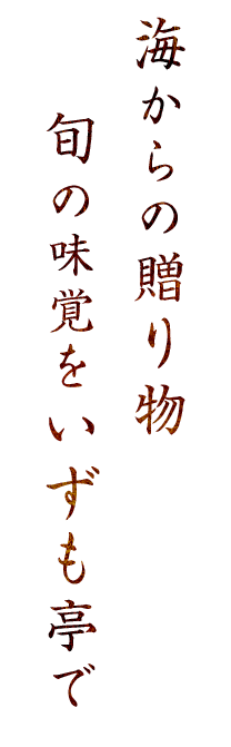 海からの贈り物