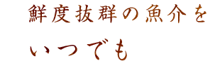 鮮度抜群の魚介をいつでも